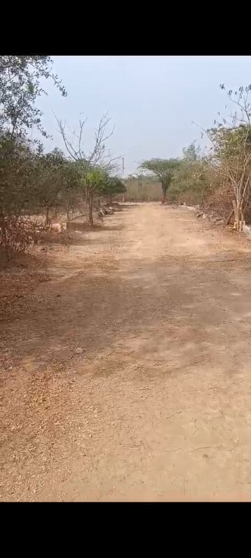 Plot Area in  Land at Moinabad – for Sale