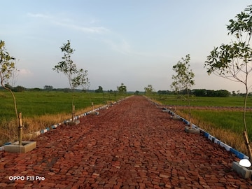 Plot Area in  Plot at Joka – for Sale