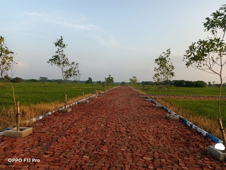 undefined, joka  720 Sq.Ft. Plot In Joka Kolkata 7839325