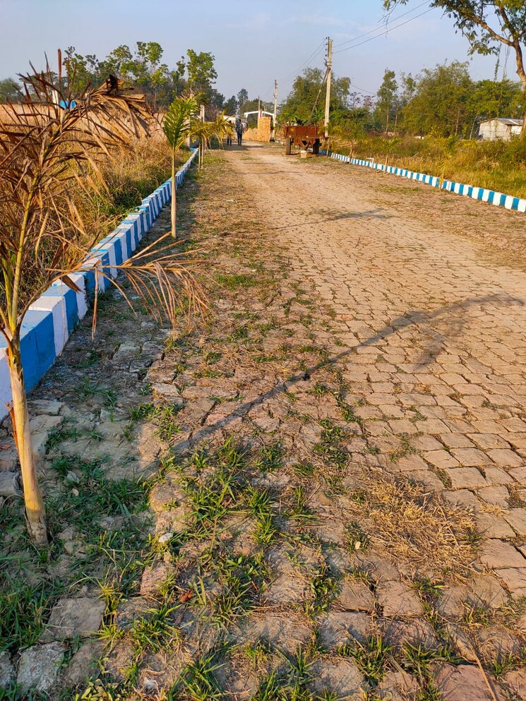 Garden, joka  720 Sq.Ft. Plot In Joka Kolkata 7839383