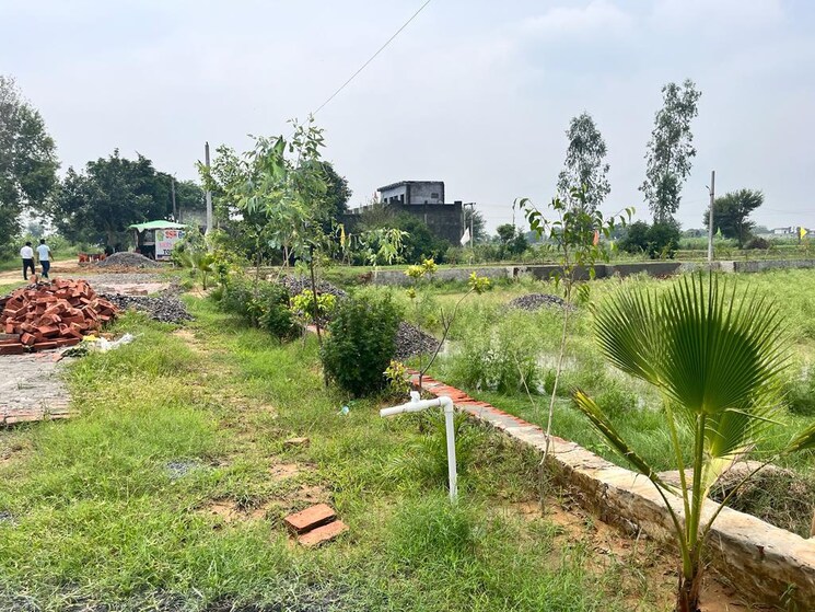 Garden, jewar  260 Sq.Yd. Plot In Jewar Greater Noida 7839474