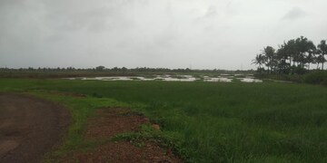 Plot Area in  Plot at Dronagiri – for Sale