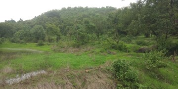 Plot Area in  Plot at Dronagiri – for Sale