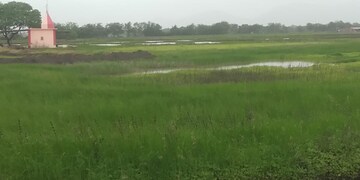 Plot Area in  Plot at Dronagiri – for Sale