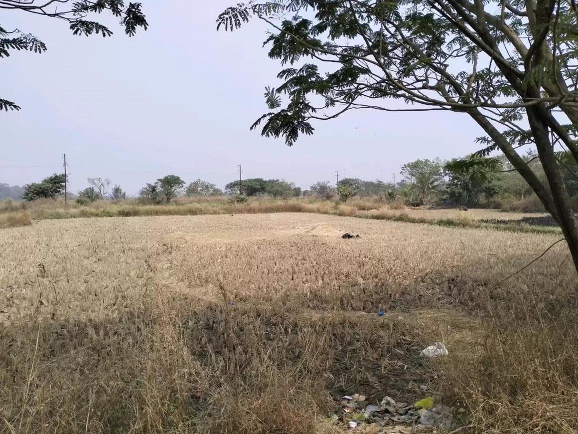 Plot For Resale in Dronagiri Navi Mumbai  7839490