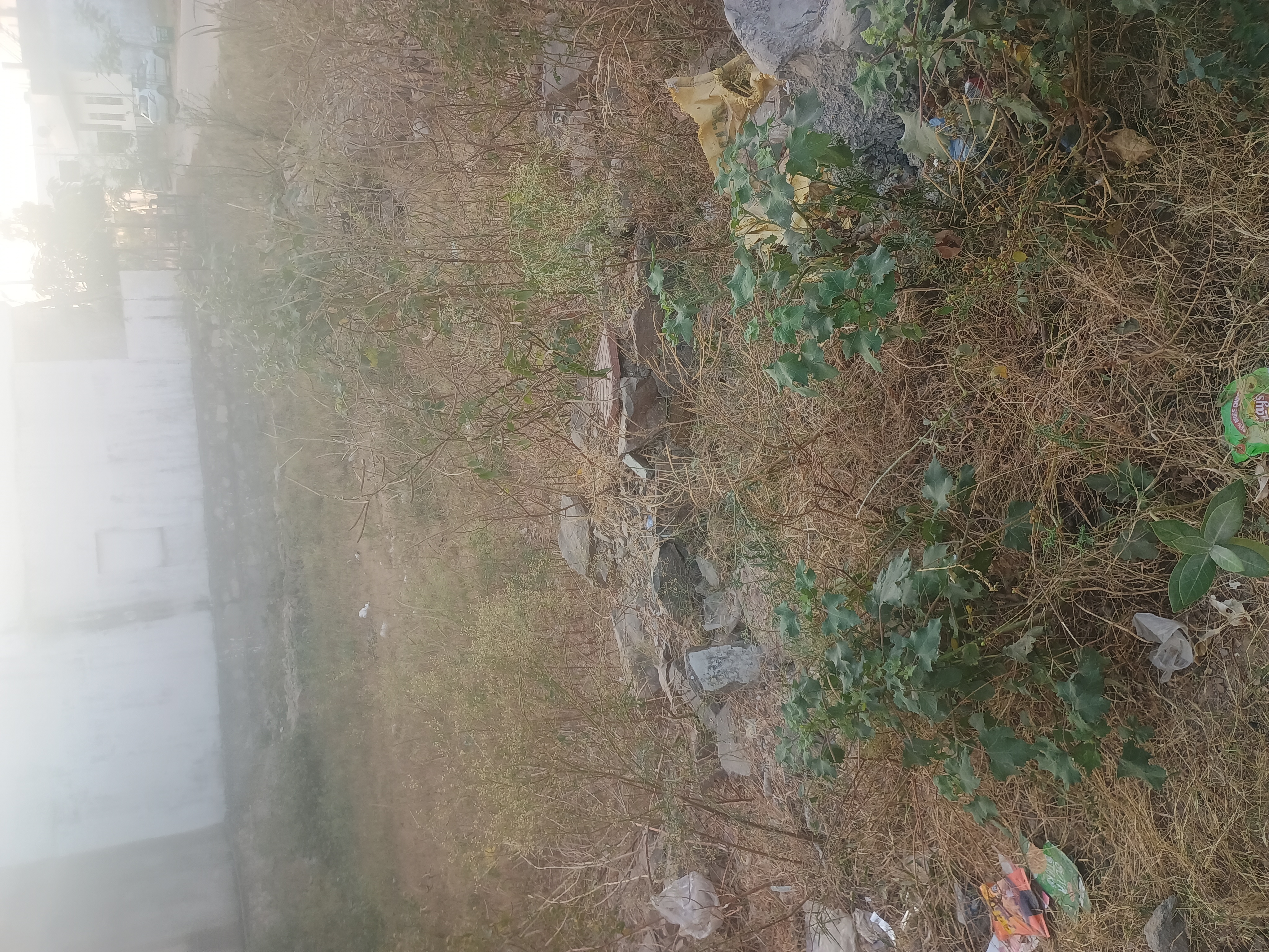Plot For Sale in Kalvad Road Gokul Nagar 2