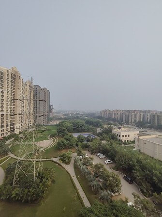 3 BHK Apartment For Rent in ATS Golf Meadows Lifestyle Central Derabassi Chandigarh  7839648