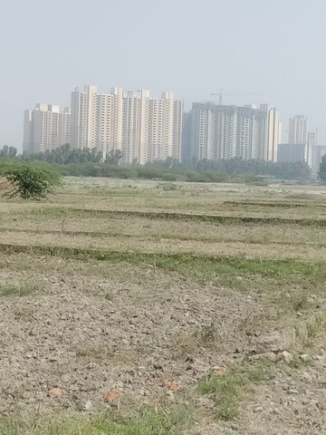 Plot Area in  Plot at Sector 150 – for Sale
