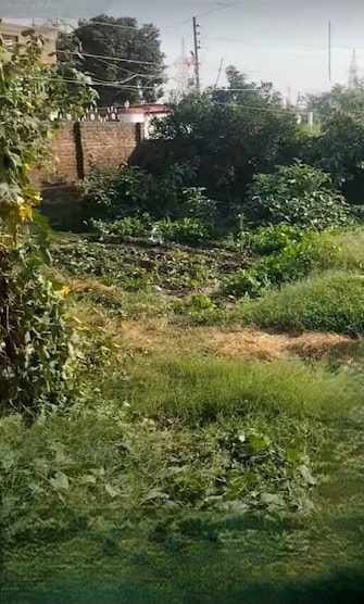 Plot For Resale in Rajinder Nagar Jammu  7839546