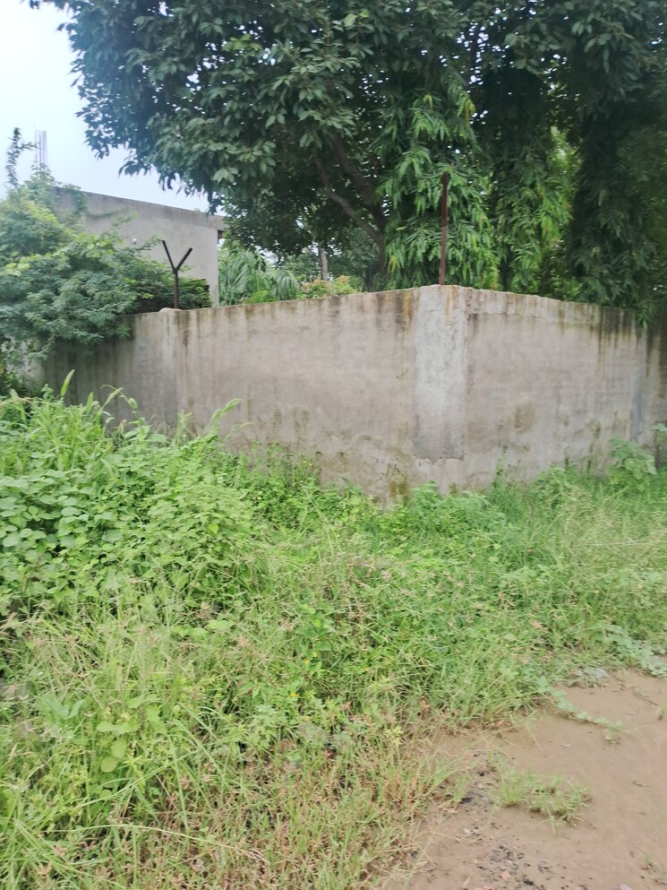 Garden, sultanpur  210 Sq.Yd. Plot In Sultanpur Gurgaon 7839866