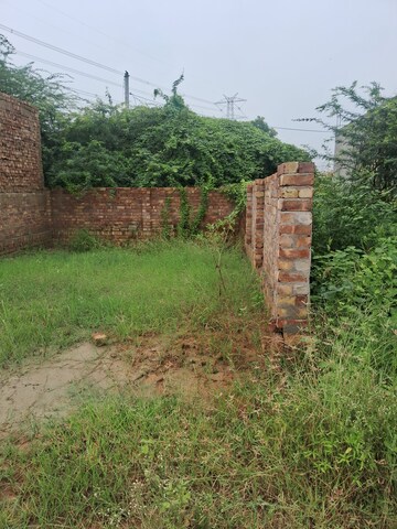  Plot – Exterior View View at Sultanpur - for Sale