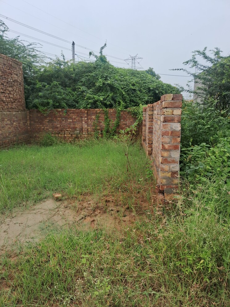 Exterior View, sultanpur  210 Sq.Yd. Plot In Sultanpur Gurgaon 7839866