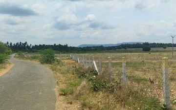 Land For Sale in Palladam