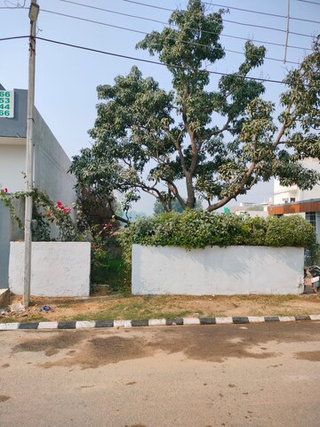  Plot For Sale in Sector 14