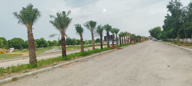 undefined, manglams-grand-city  100 Sq.Yd. Plot In Ajmer Road Jaipur 7840098