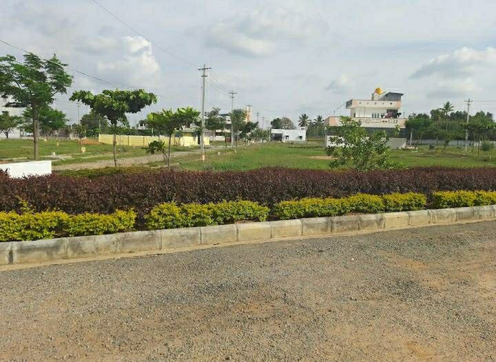 Plot For Resale in Jigani Bangalore  7840459