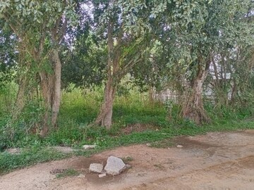 Plot Area in  Plot at Haragadde – for Sale