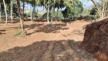 Plot Area in  Plot at Haragadde – for Sale