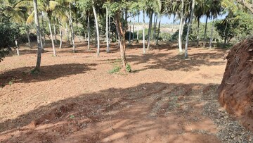 Plot Area in  Plot at Haragadde – for Sale