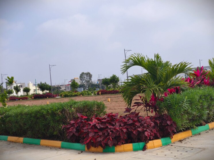 Garden, jigani  1200 Sq.Ft. Plot In Jigani Bangalore 7840617