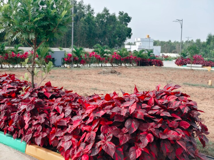 Exterior View, jigani  1200 Sq.Ft. Plot In Jigani Bangalore 7840617