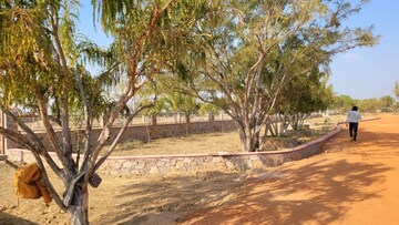 Plot Area in  Plot at SS Sainik Farms, Sector 150 – for Sale