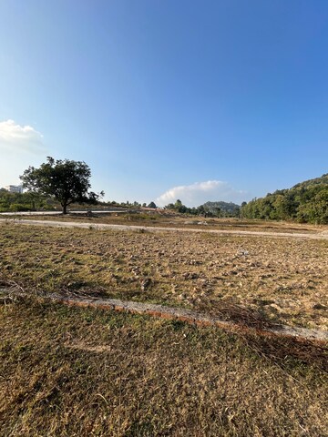 Plot Area in  Plot at Jolly Grant – for Sale