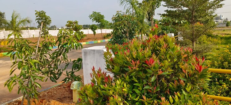 Garden, yuva-park  206 Sq.Yd. Plot In Shadnagar Hyderabad 7840950