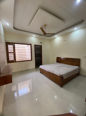 2 BHK Apartment For Rent in Sunny Enclave Mohali  7840985