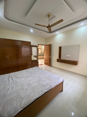 2 BHK Apartment For Rent in Sunny Enclave Mohali  7840985