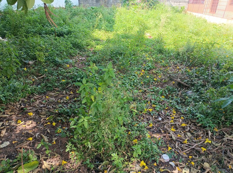 Garden, subramanyapura  1200 Sq.Ft. Plot In Subramanyapura Bangalore 7841143
