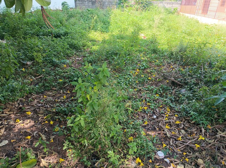 Garden, subramanyapura  1200 Sq.Ft. Plot In Subramanyapura Bangalore 7841143