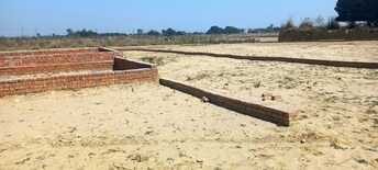 Plot For Resale in Dholera Ahmedabad  7841188