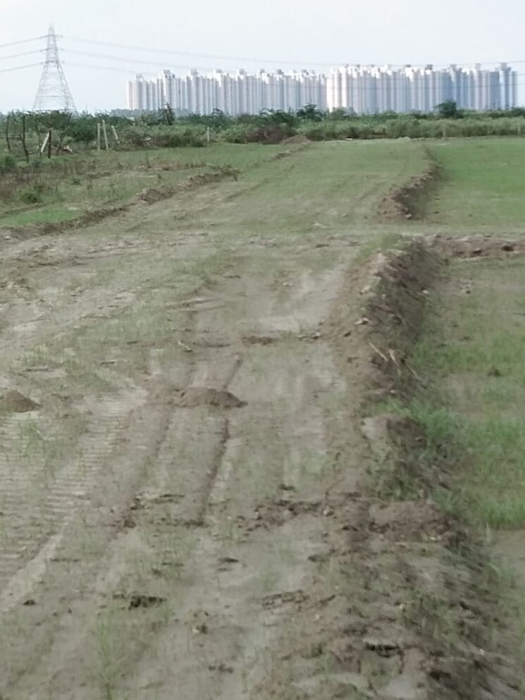 undefined, sector 150  60 Sq.Yd. Plot In Sector 150 Noida 7841221