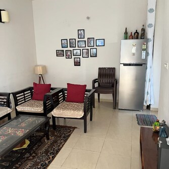 2 BHK Apartment For Rent in Pyramid Heights Badha Gurgaon  7841576