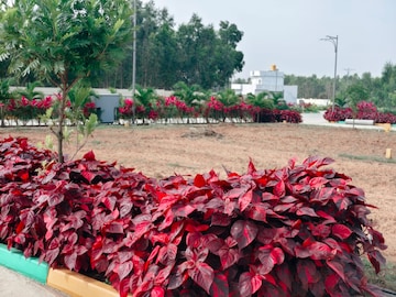  Plot – Exterior View View at Jigani - for Sale