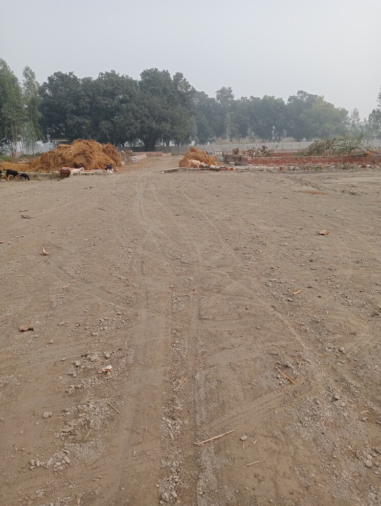 undefined, sultanpur road  1250 Sq.Ft. Plot In Sultanpur Road Lucknow 7841893