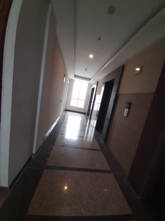 4 BHK Apartment For Rent in Puri Diplomatic Greens Phase I Sector 111 Gurgaon  7841966