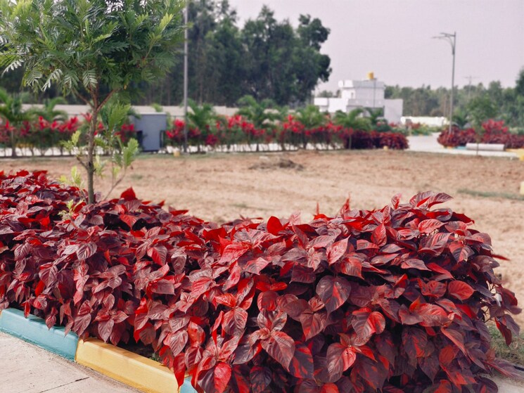 Exterior View, jigani  1200 Sq.Ft. Plot In Jigani Bangalore 7842048