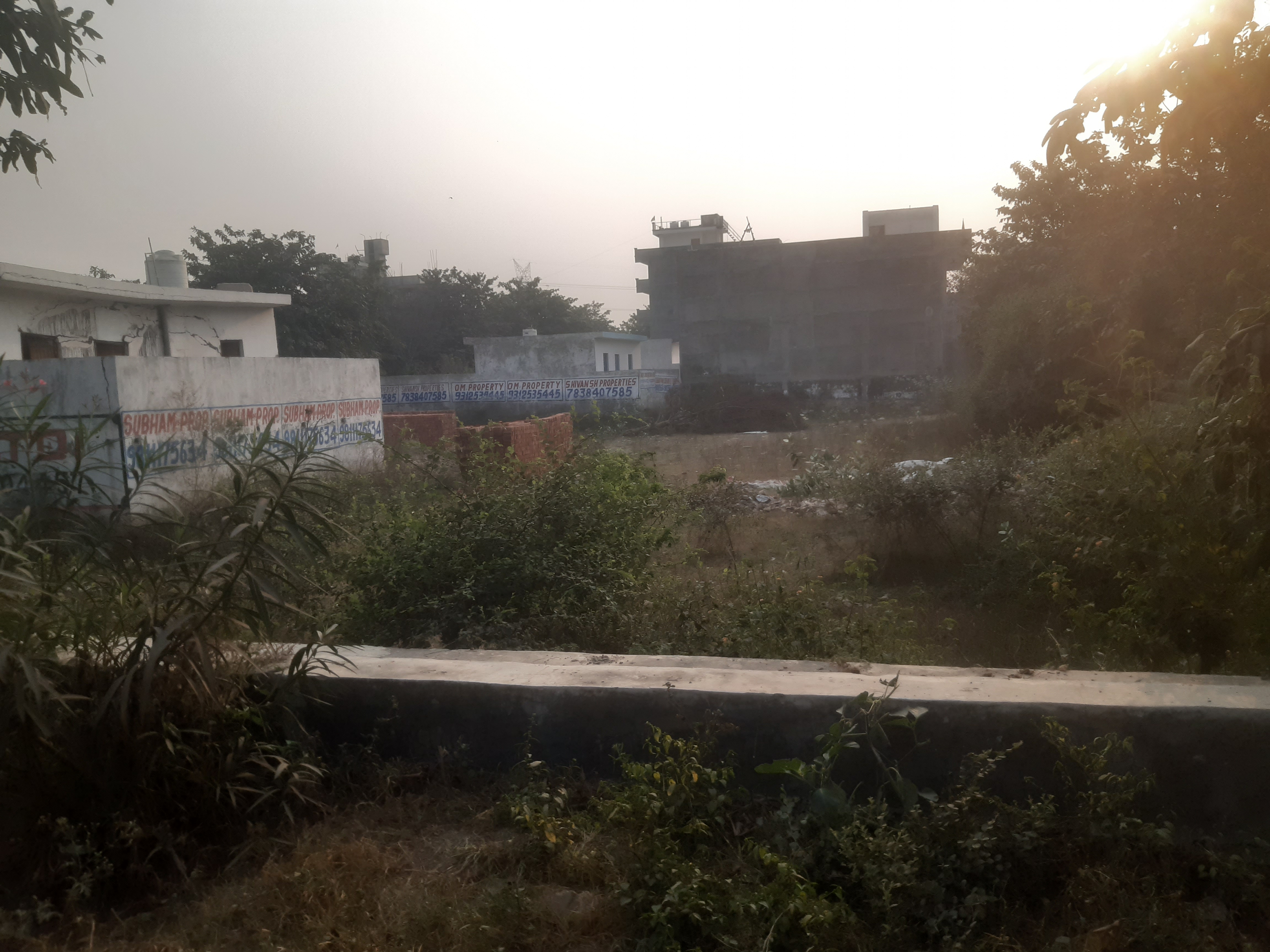 Plot For Sale in Authority Allotted Plot 