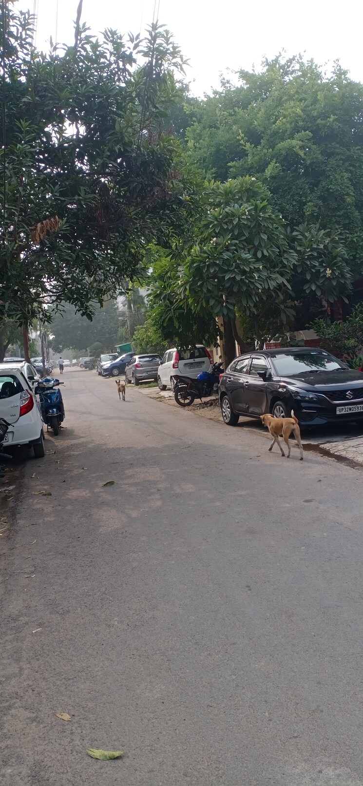  Parking, ansal-aashiana 5 Bedroom 1935 Sq.Ft. Villa In Kanpur Road Lucknow 7842768