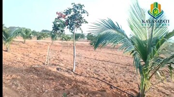 Plot Area in  Plot at Mansanpalle – for Sale