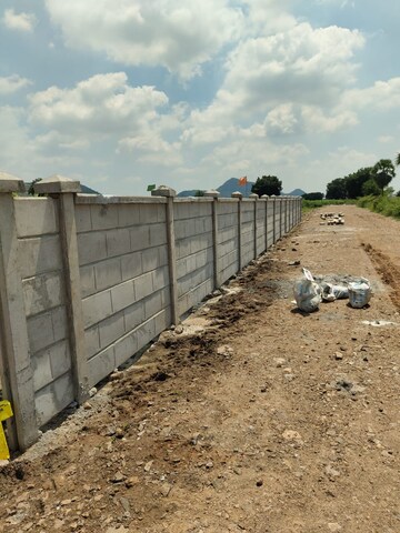 Plot Area in  Plot at Lalapet – for Sale