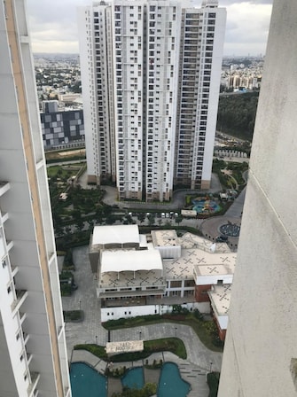 4 BHK Apartment For Rent in Prestige Falcon City Konanakunte Bangalore  7843117