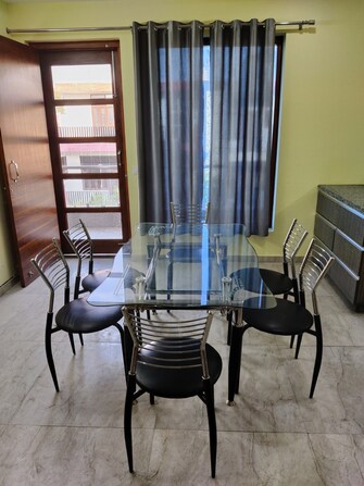 3 BHK Apartment For Rent in Sector 23 Gurgaon  7843099