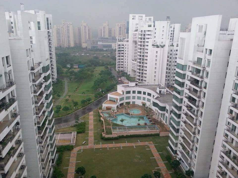 3 BHK Apartment For Resale in Parsvnath Exotica Sector 53 Gurgaon  7843115