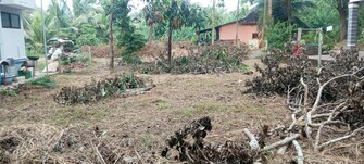 Plot For Resale in Katapady Udupi  7843344