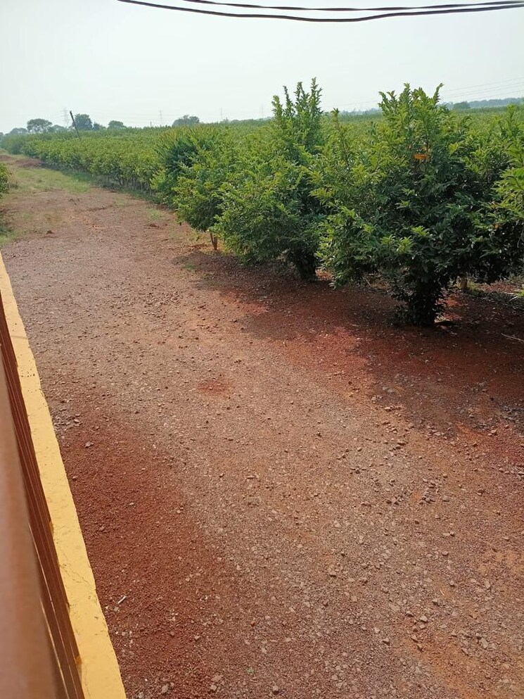 undefined, hirapur  10500 Sq.Yd. Plot In Hirapur Raipur 7844171