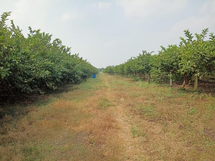 undefined, hirapur  10500 Sq.Yd. Plot In Hirapur Raipur 7844171