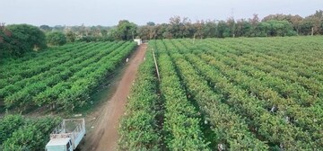  Plot For Sale in Hirapur